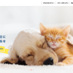 アルモネイチャー ドッグフードの口コミ評価、評判、おすすめ商品を徹底解剖！