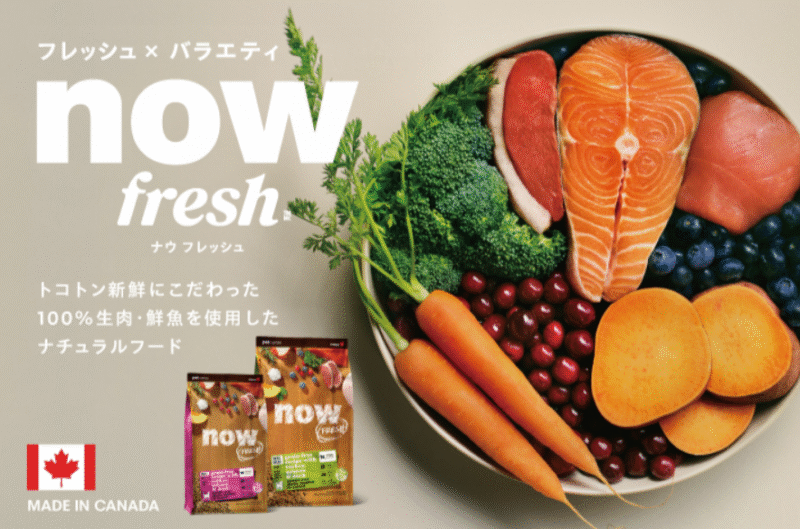 ナウフレッシュ（NOW FRESH）の口コミ評価、評判、おすすめ商品を徹底解剖！