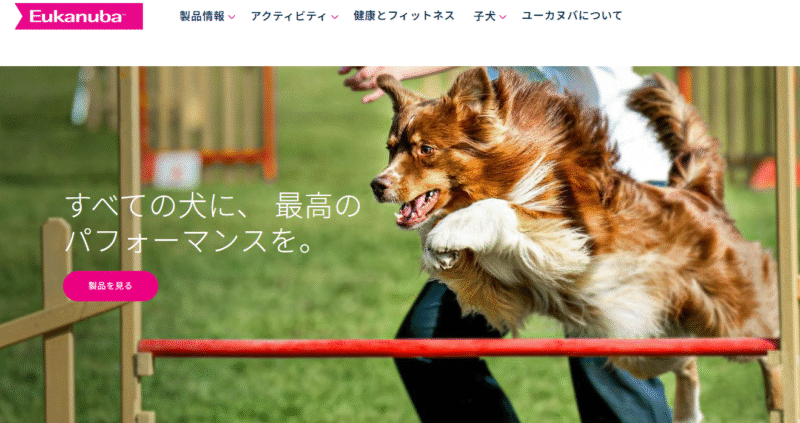 ユーカヌバ(Eukanuba)ドッグフードの口コミ評価、評判、おすすめ商品を徹底解剖!