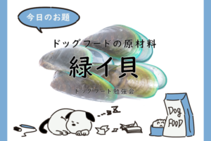 ドッグフード　緑イ貝
