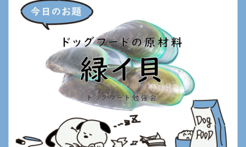 ドッグフード　緑イ貝