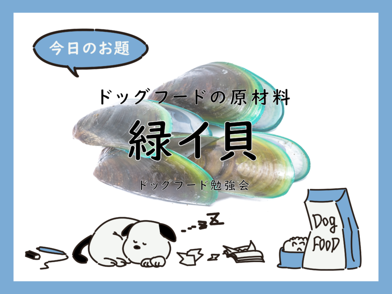 緑イ貝の記事画像