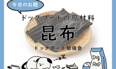 ドッグフードの昆布。愛犬の手作り食に使って大丈夫？グルタミン酸やヨウ素、水溶性食物繊維が豊富