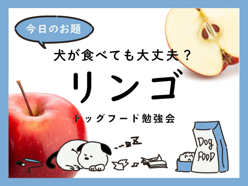 ドッグフード　リンゴ