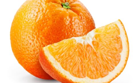 ドッグフードのオレンジ。フルーツでトップクラスのビタミンC量で疲労回復や老化予防に効果的！皮の中毒成分に注意
