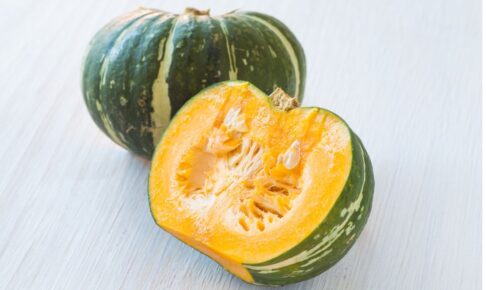 ドッグフードのかぼちゃ。βカロテンや食物繊維が豊富な緑黄色野菜。皮や種は与えて大丈夫？