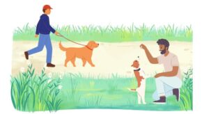 犬の無駄吠えをやめさせたい!状況別の理由と具体的な対策について
