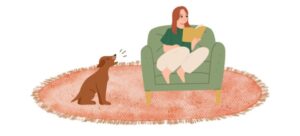 犬の無駄吠えをやめさせたい!状況別の理由と具体的な対策について
