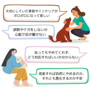 犬が家具を噛むのはなぜ?原因別の対策とやってはいけないNG対応