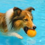 犬が大量の水を飲むと危険？夏に増える「水中毒」の原因・症状・予防法を解説