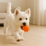 ウエスト・ハイランド・ホワイト・テリアの性格と飼いやすさとは?歴史や飼い方、注意したい病気まで解説