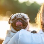 ペットロスとは？なりやすい人や症状、犬との別れを乗り越える心の向き合い方