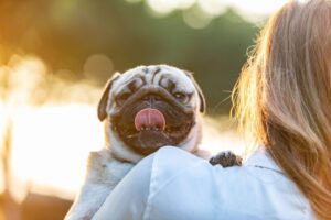 ペットロスとは？なりやすい人や症状、犬との別れを乗り越える心の向き合い方