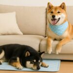 犬におすすめの冷感グッズとは？夏を快適に過ごすための選び方と注意点