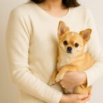 犬を正しく抱っこするには？方法と注意点、小型犬・大型犬での違いを解説