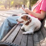 犬のトラブル。違反や罰金は？飼い主が知っておくべき法律と対応方法