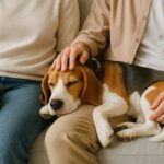 共働きでも犬を飼える？理想と現実を知って後悔しないために