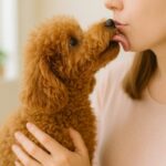犬とキスするのは危険！かわいい行為に潜む病気のリスクと正しい接し方
