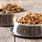 犬種別ドッグフードとは?特徴や選び方、全犬種用との違いを解説