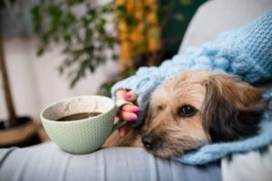 犬のカフェイン中毒。コーヒーだけじゃない、コーラや緑茶の危険性と致死量について