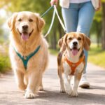 犬の多頭飼いの散歩はどうする？2匹で歩く前に知っておきたい基本