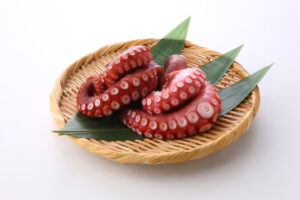 犬はタコを食べていい?生のタコは食べてはいけない。ビタミンB1欠乏症に注意。加熱すれば少量食べていい