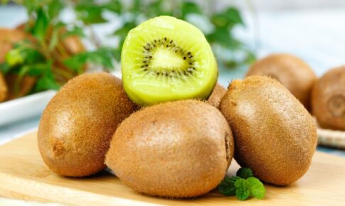 犬はキウイフルーツを食べていい？量や芯に注意。犬用の手作りメニューも