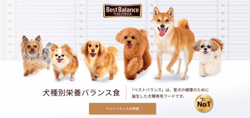 ドッグフードのベストバランスの評判や特徴を解説！全６種の犬種別のドッグフード。
